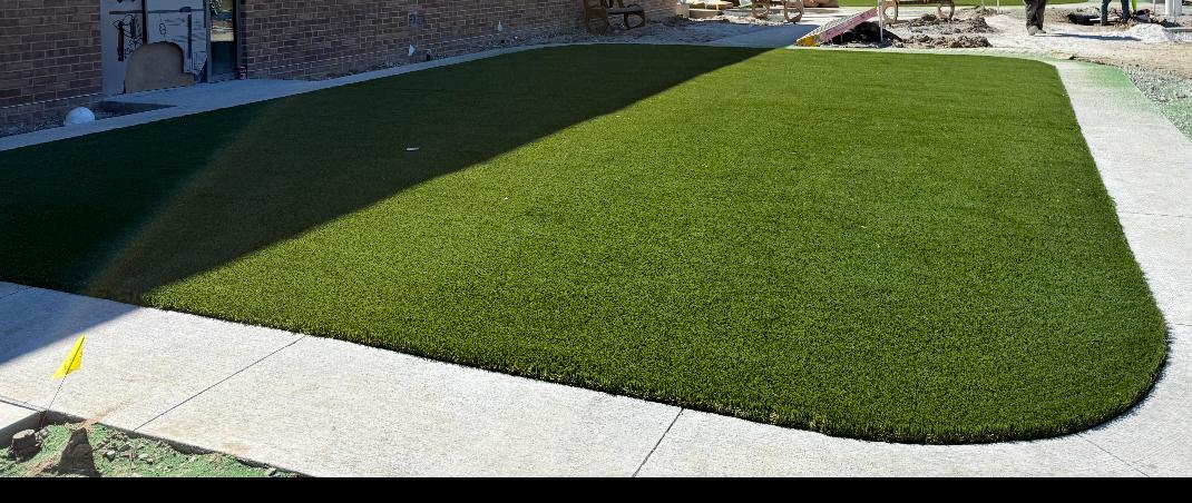 Artificial Grass Project